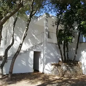 In Campagna Da Nino Gasthof Olbia
