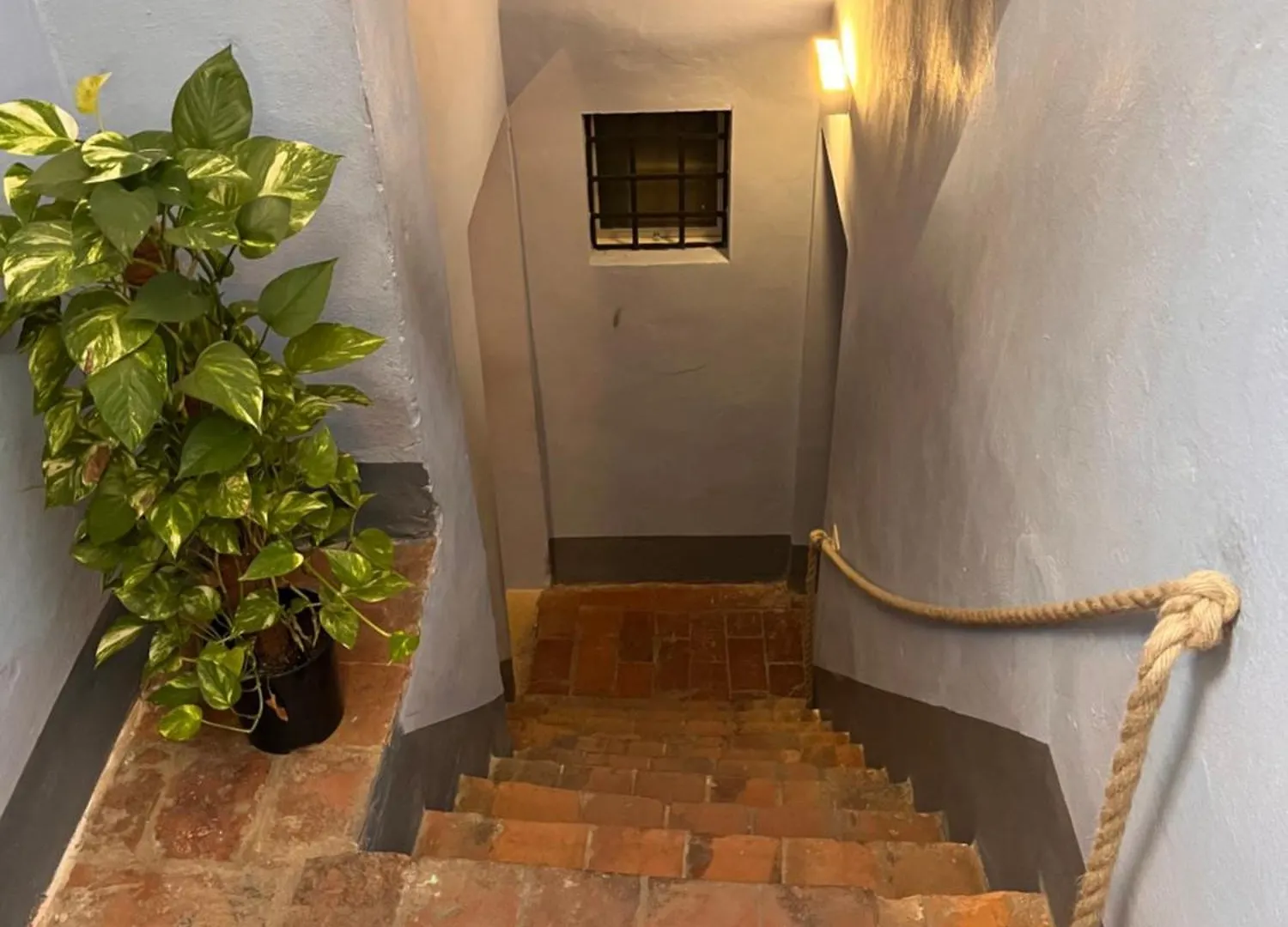 Bed & Breakfast Tuscany Experience Bnb Foiano Della Chiana Italy